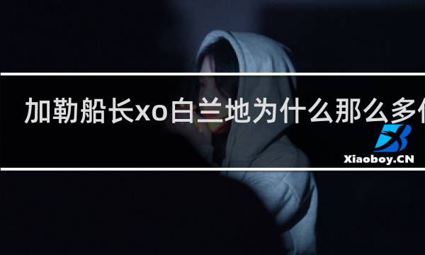 加勒船长xo白兰地为什么那么多价格