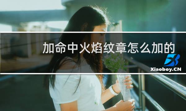 加命中火焰纹章怎么加的