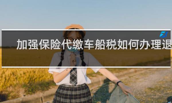 加强保险代缴车船税如何办理退税