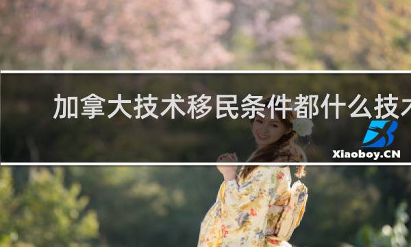 加拿大技术移民条件都什么技术