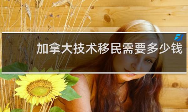 加拿大技术移民需要多少钱