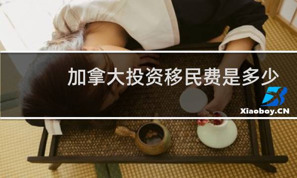 加拿大投资移民费是多少