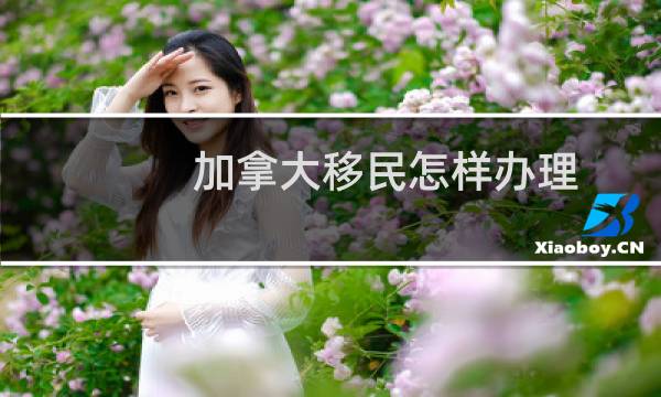 加拿大移民怎样办理