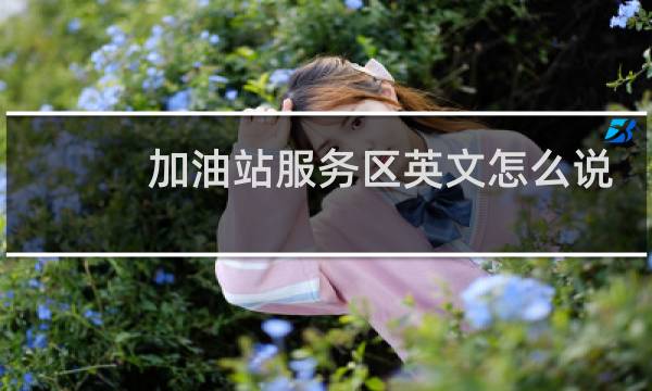 加油站服务区英文怎么说