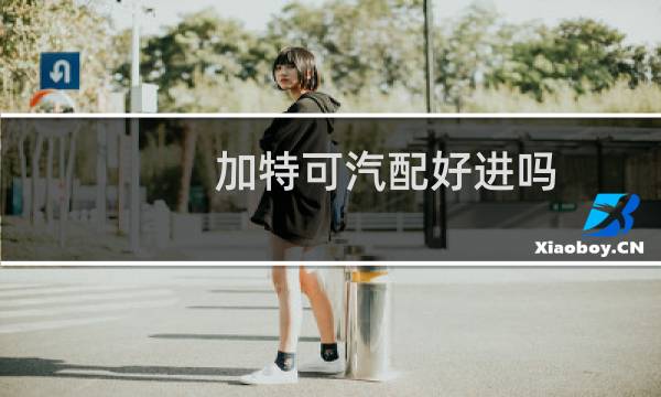 加特可汽配好进吗