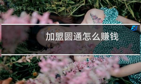 加盟圆通怎么赚钱