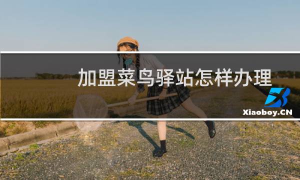 加盟菜鸟驿站怎样办理