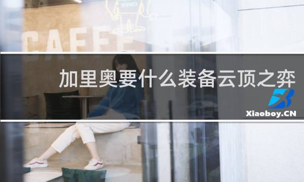 加里奥要什么装备云顶之弈