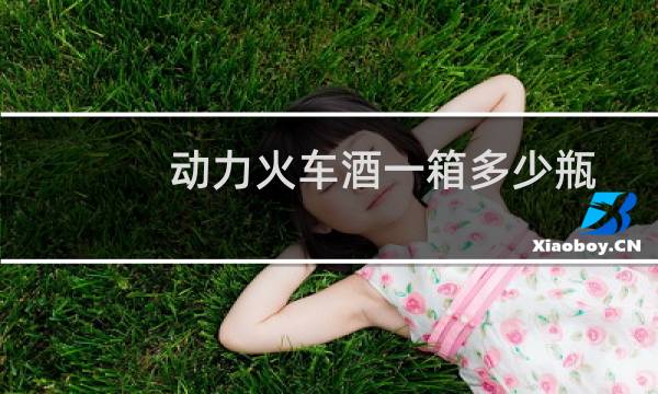 动力火车酒一箱多少瓶