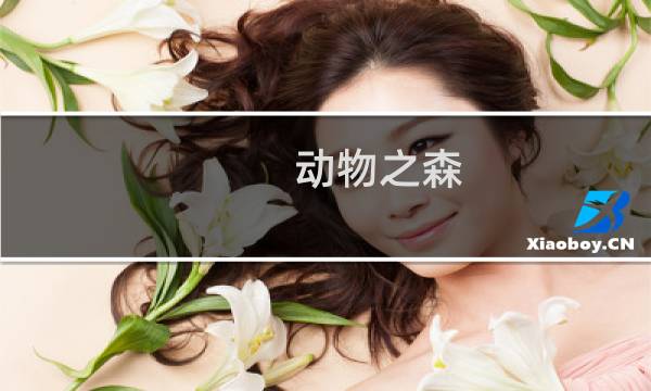 动物之森 雪人攻略