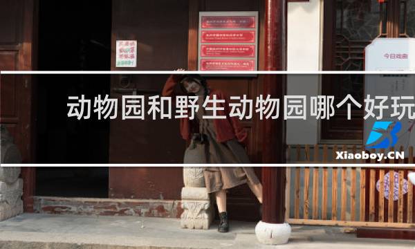 动物园和野生动物园哪个好玩