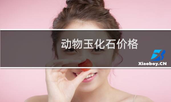 动物玉化石价格