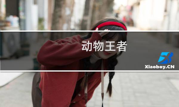 动物王者 攻略