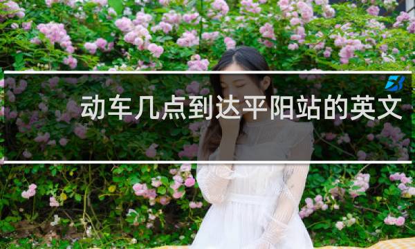 动车几点到达平阳站的英文
