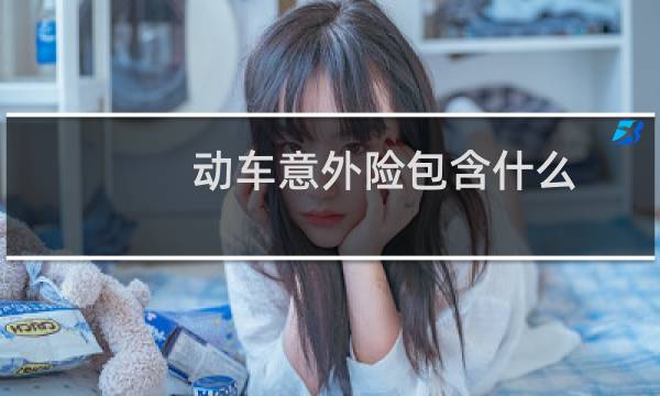 动车意外险包含什么