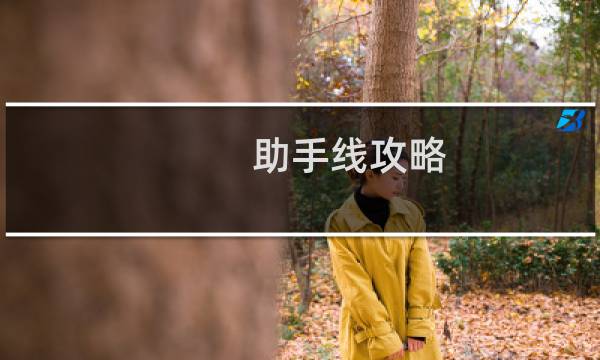 助手线攻略