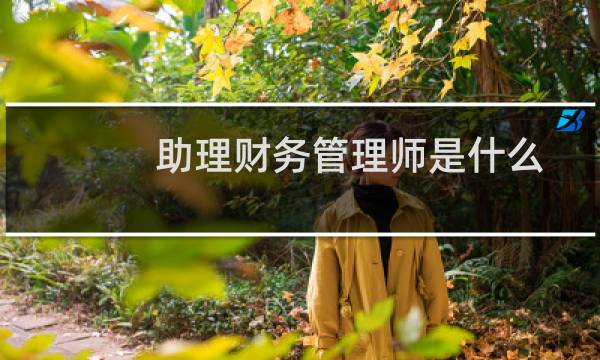 助理财务管理师是什么
