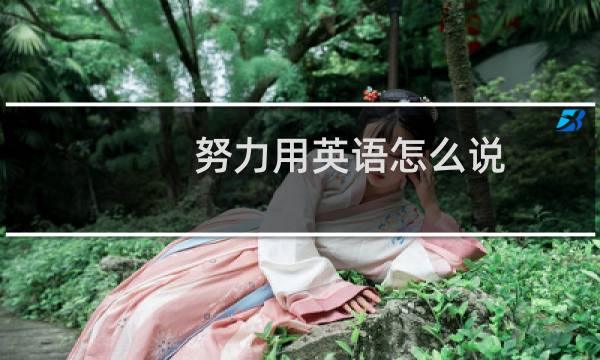 努力用英语怎么说