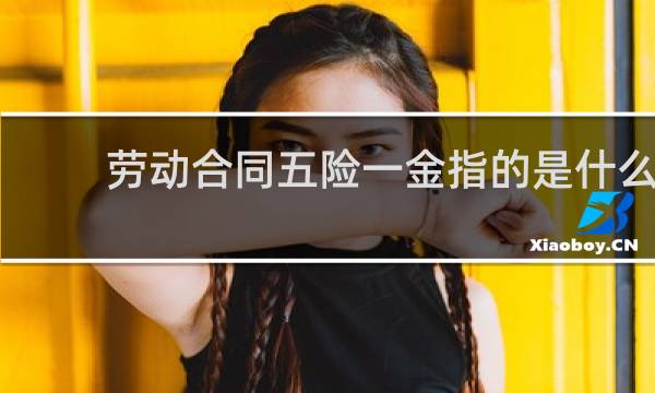 劳动合同五险一金指的是什么