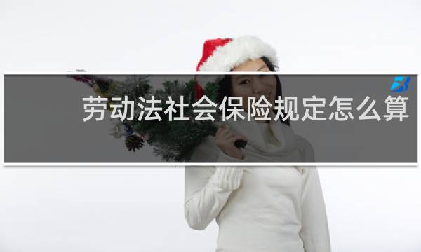 劳动法社会保险规定怎么算