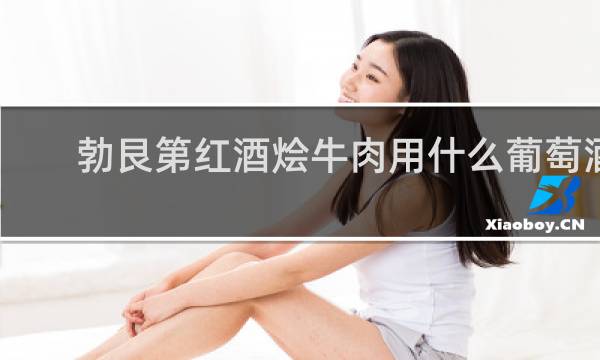 勃艮第红酒烩牛肉用什么葡萄酒