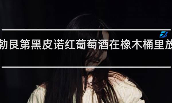 勃艮第黑皮诺红葡萄酒在橡木桶里放9个月
