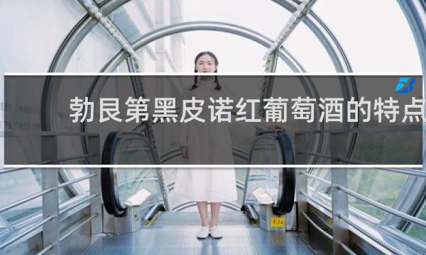 勃艮第黑皮诺红葡萄酒的特点