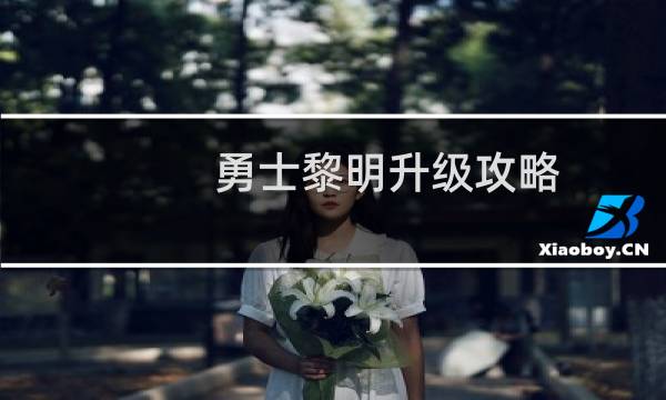 勇士黎明升级攻略