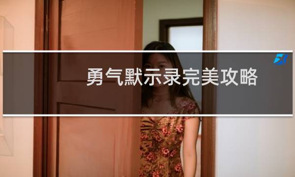 勇气默示录完美攻略