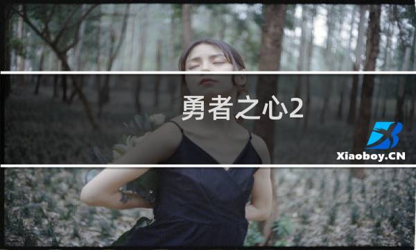 勇者之心2 攻略