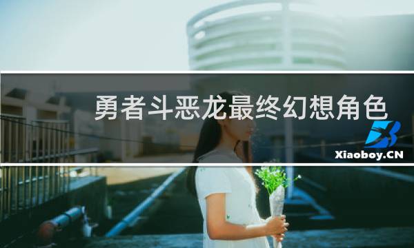 勇者斗恶龙最终幻想角色