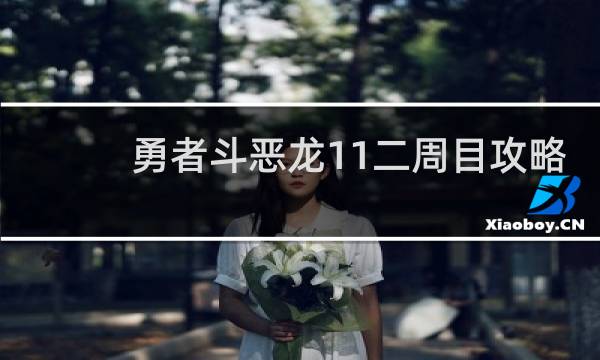 勇者斗恶龙11二周目攻略