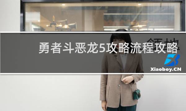 勇者斗恶龙5攻略流程攻略