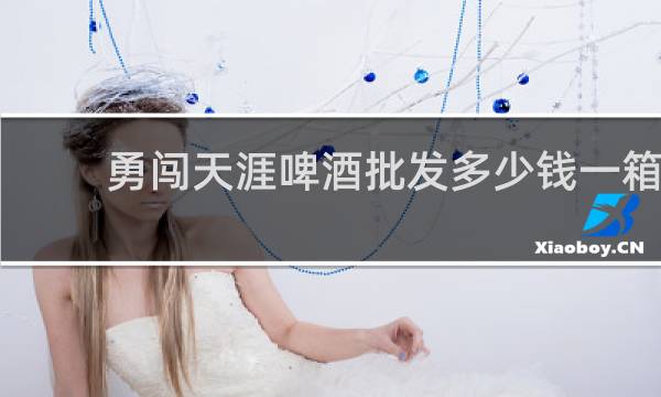 勇闯天涯啤酒批发多少钱一箱