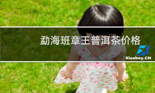 勐海班章王普洱茶价格
