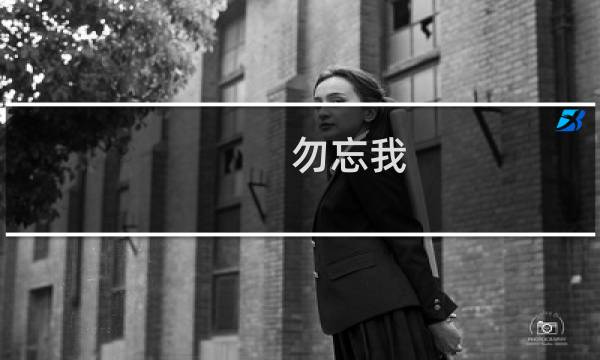 勿忘我 攻略视频