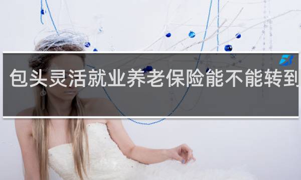 包头灵活就业养老保险能不能转到临河