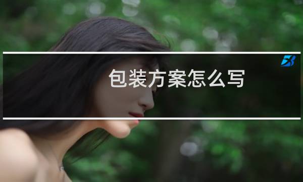 包装方案怎么写