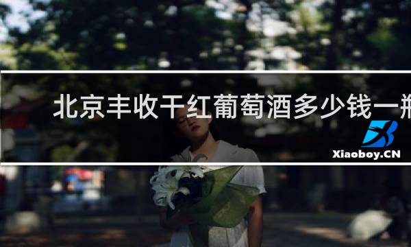 北京丰收干红葡萄酒多少钱一瓶 篮球