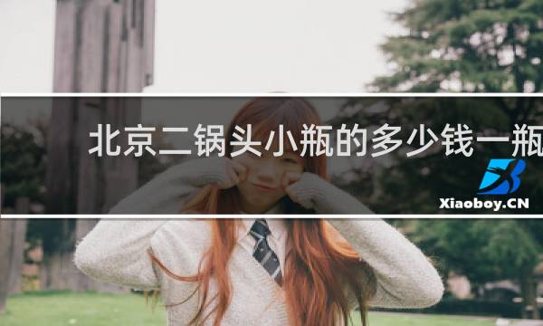 北京二锅头小瓶的多少钱一瓶