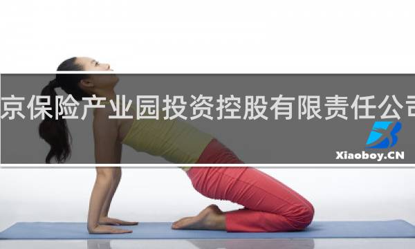 北京保险产业园投资控股有限责任公司怎么样