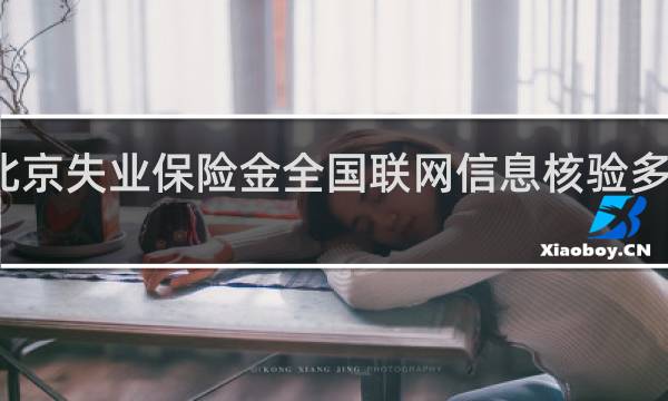 北京失业保险金全国联网信息核验多长时间