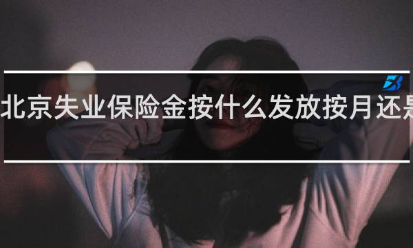 北京失业保险金按什么发放按月还是按季