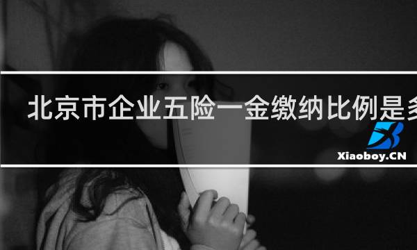 北京市企业五险一金缴纳比例是多少