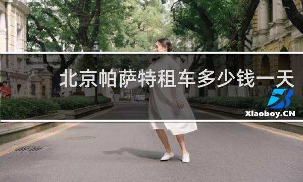 北京帕萨特租车多少钱一天
