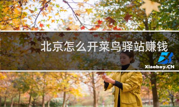 北京怎么开菜鸟驿站赚钱