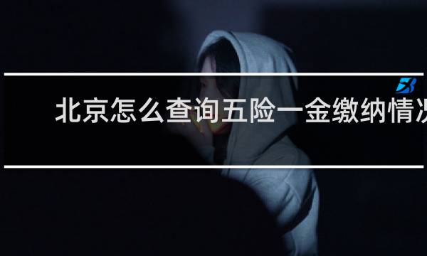 北京怎么查询五险一金缴纳情况