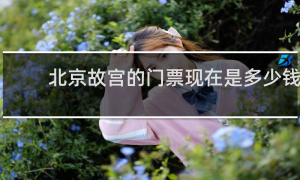北京故宫的门票现在是多少钱