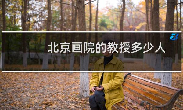 北京画院的教授多少人