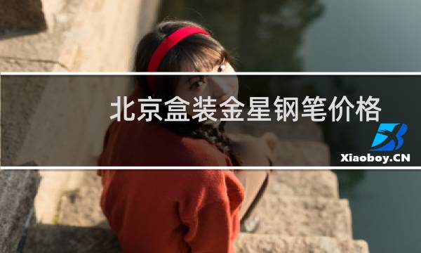 北京盒装金星钢笔价格